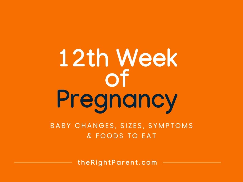 12th Week of Pregnancy Baby Changes, Symptoms, Foods & Care