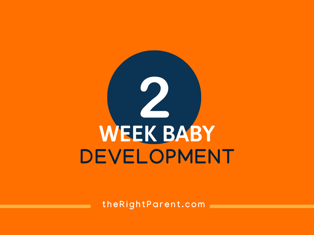 baby-development-your-8-month-2-week-old-nabta-health