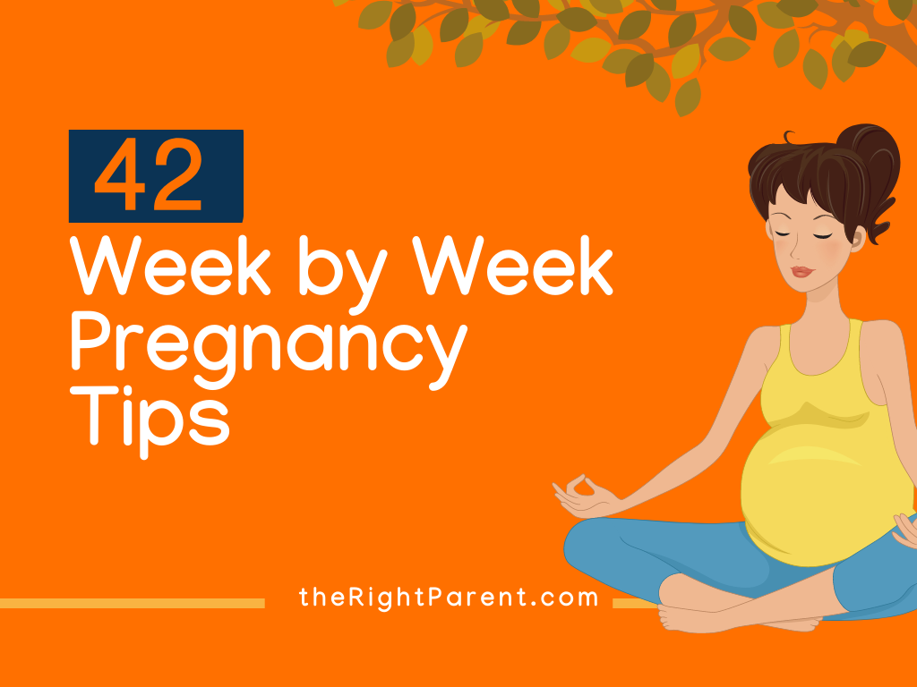 42 Week By Week Pregnancy Symptoms Care And Tips 