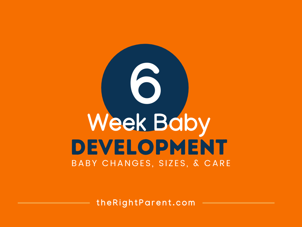 Infant Development 6week Old Baby Care and Tips theRightParent